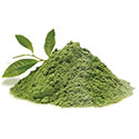 Green Tea Extract